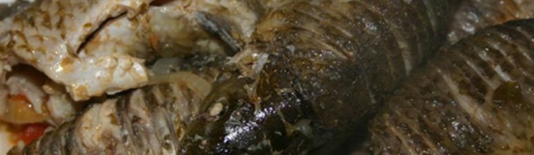 29 - peixe do rio - açorda tipica
