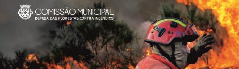 Comissão Incêndios (1)