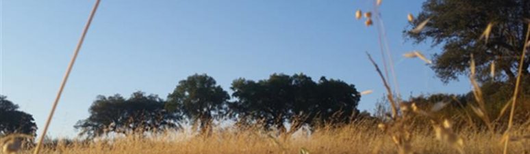 paisagem de santana