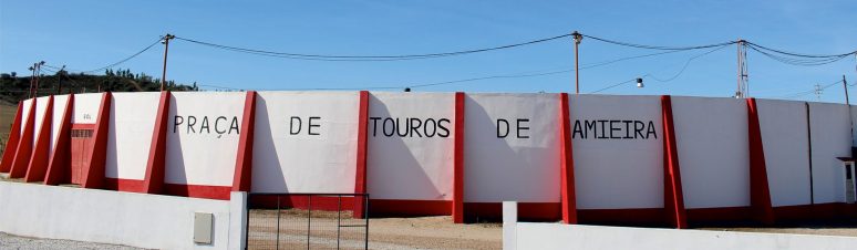 PT-AMIEIRA6.original
