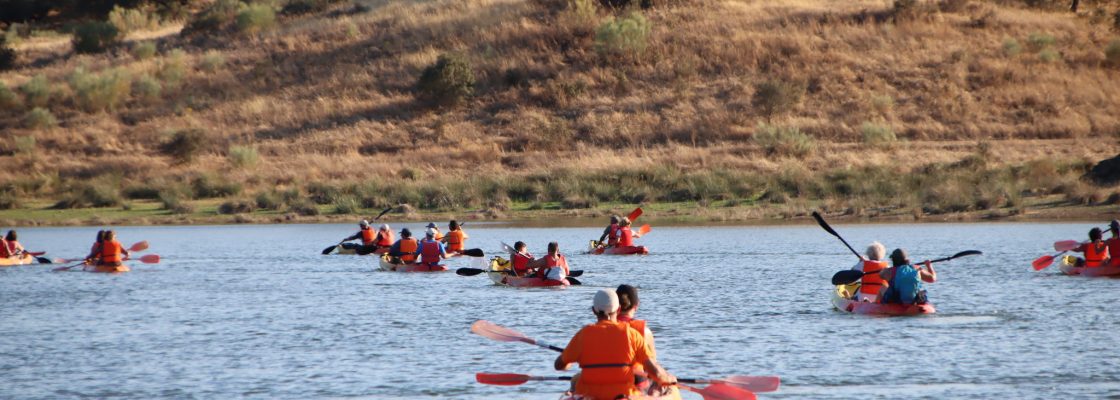 canoa 8