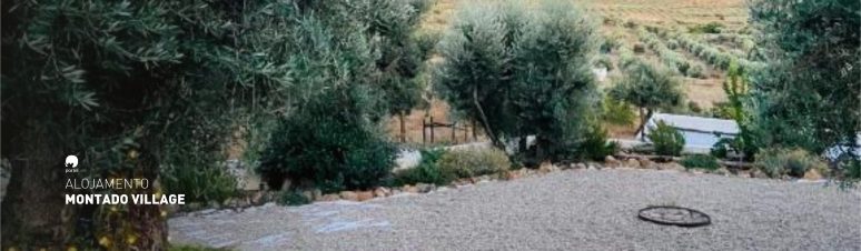 alojamento-montado-village-interior-2025-8