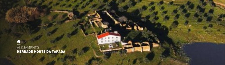 alojamento-monte-tapada-2025-1