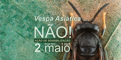 Ação de Sensibilização – Vespa Asiática… Não!