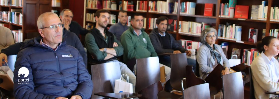 noticia-dentro-vespa-asiatica-2025-3