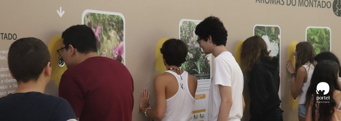 noticia-dentro-academia-musica-2025-6