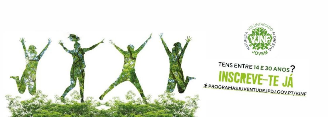 noticia-dentro-voluntariado-jovem-2025