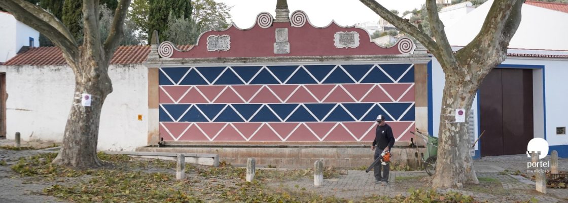 noticia-dentro-limpeza-arvores-2025-1