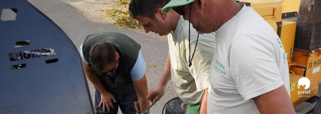 noticia-dentro-limpeza-arvores-2025-2