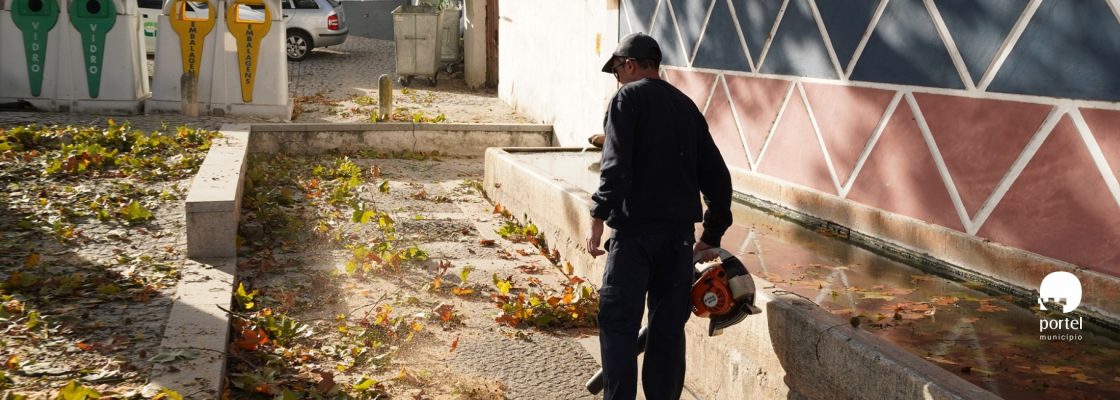 noticia-dentro-limpeza-arvores-2025-3