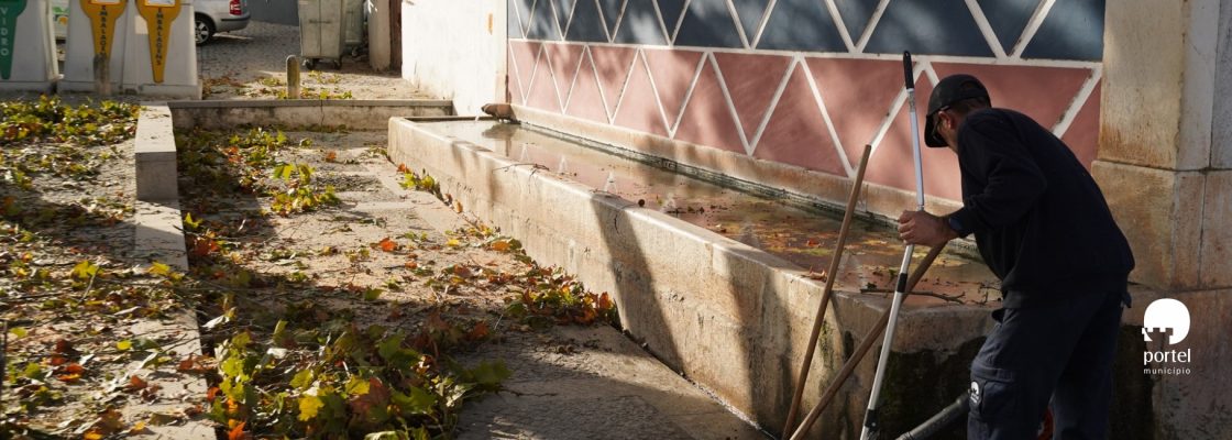 noticia-dentro-limpeza-arvores-2025-4