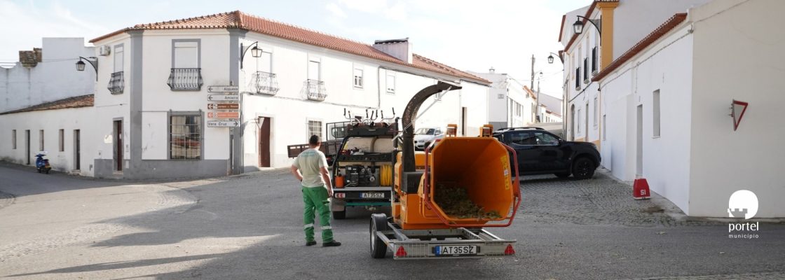 noticia-dentro-limpeza-arvores-2025-5