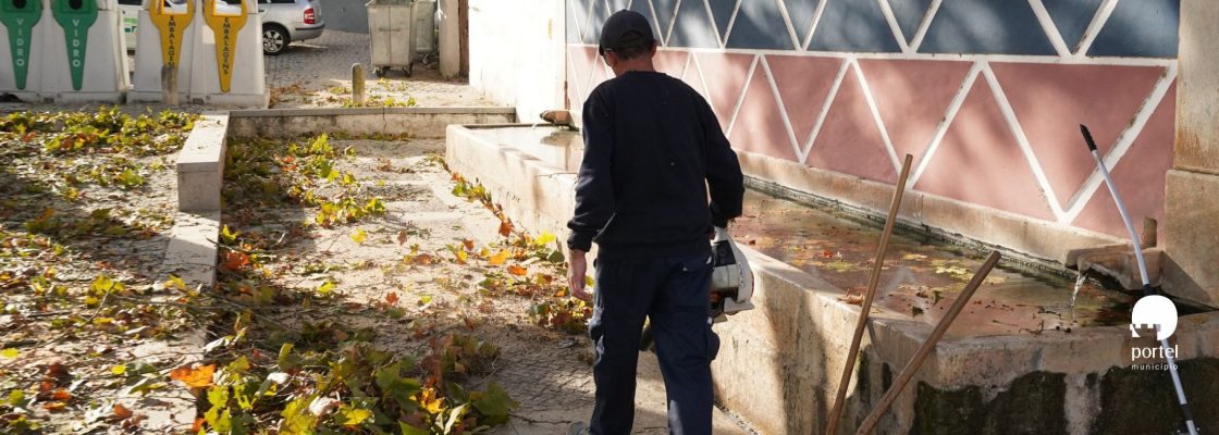 noticia-dentro-limpeza-arvores-2025-6