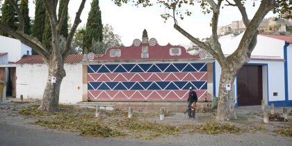 Limpeza e Manutenção de Árvores