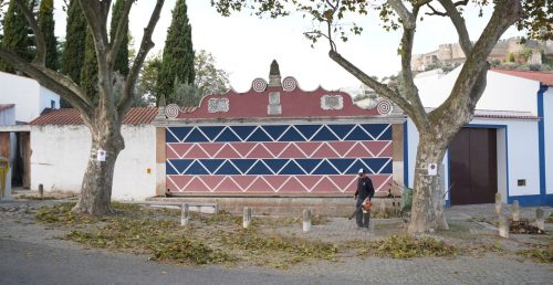 Limpeza e Manutenção de Árvores