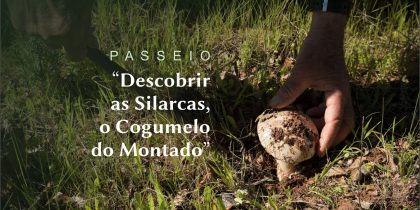 Passeio Pedestre – Descobrir as Silarcas, O Cogumelo do Montado