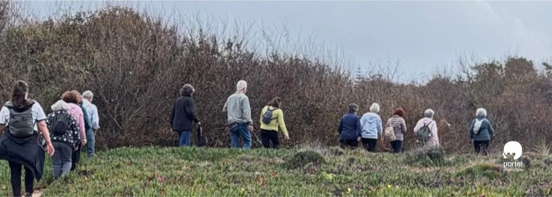 noticia-dentro-passeio-odemira-usenior-2026-5