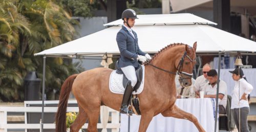Portelense Carlos Maldonado destacado em 2025