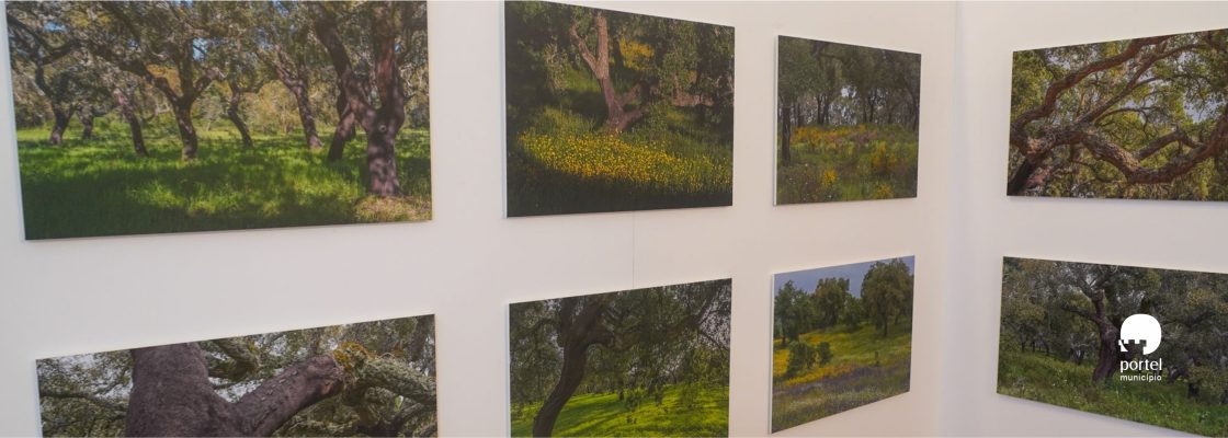 noticia-dentro-exposicao-sobro-bolota-2026-1