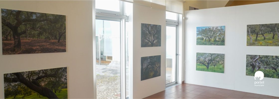 noticia-dentro-exposicao-sobro-bolota-2026-2