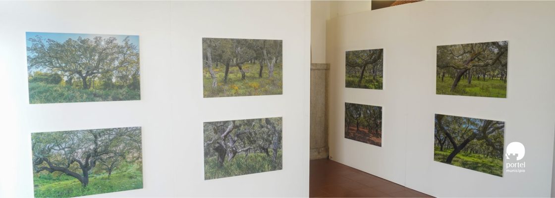 noticia-dentro-exposicao-sobro-bolota-2026-3