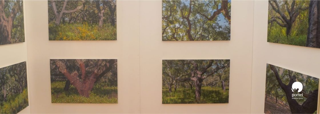 noticia-dentro-exposicao-sobro-bolota-2026-4