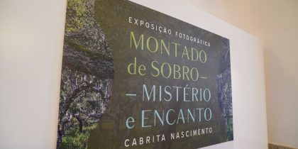 Exposição Fotográfica – Montado de Sobro – Mistério e Encanto