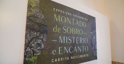 Exposição Fotográfica – Montado de Sobro – Mistério e Encanto